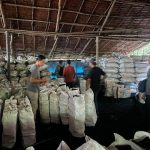 Polda Riau Bongkar Perusakan Mangrove di Meranti, 3 Tersangka Diamankan