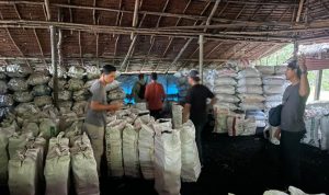Polda Riau Bongkar Perusakan Mangrove di Meranti, 3 Tersangka Diamankan