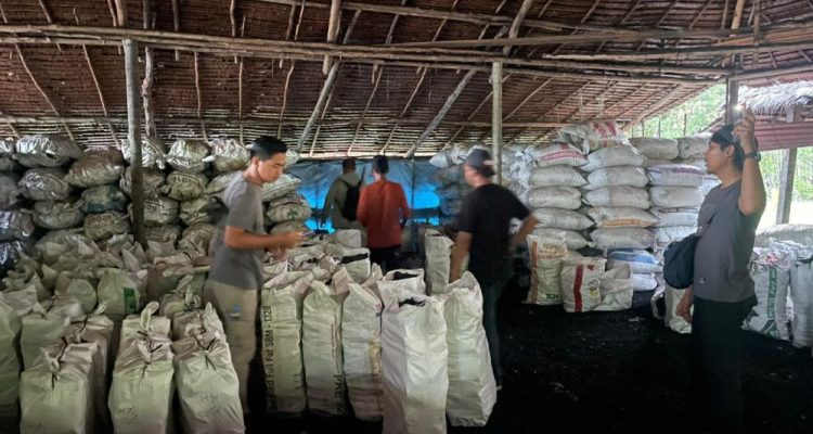 Polda Riau Bongkar Perusakan Mangrove di Meranti, 3 Tersangka Diamankan